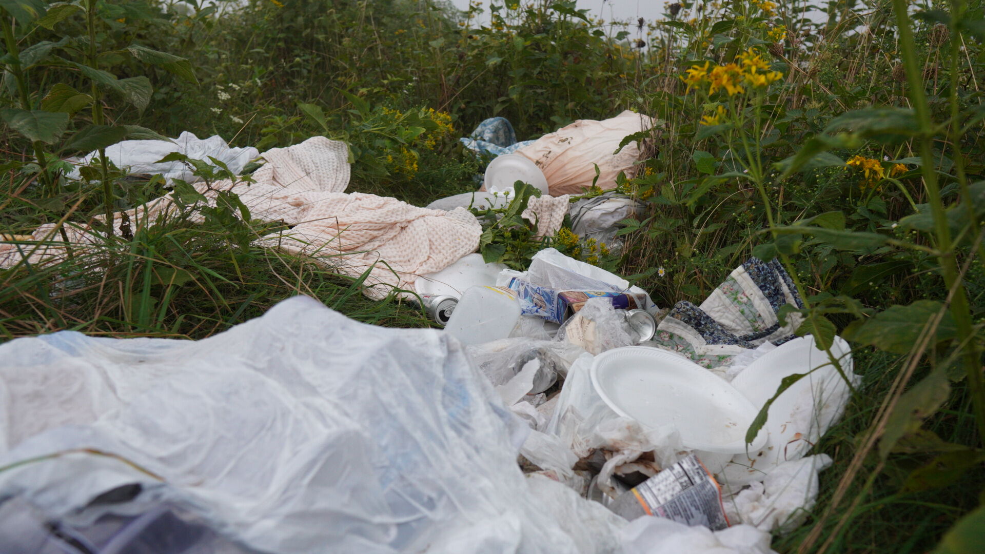 max patch trash 1.JPG